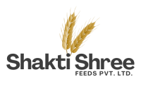 Shakti shree